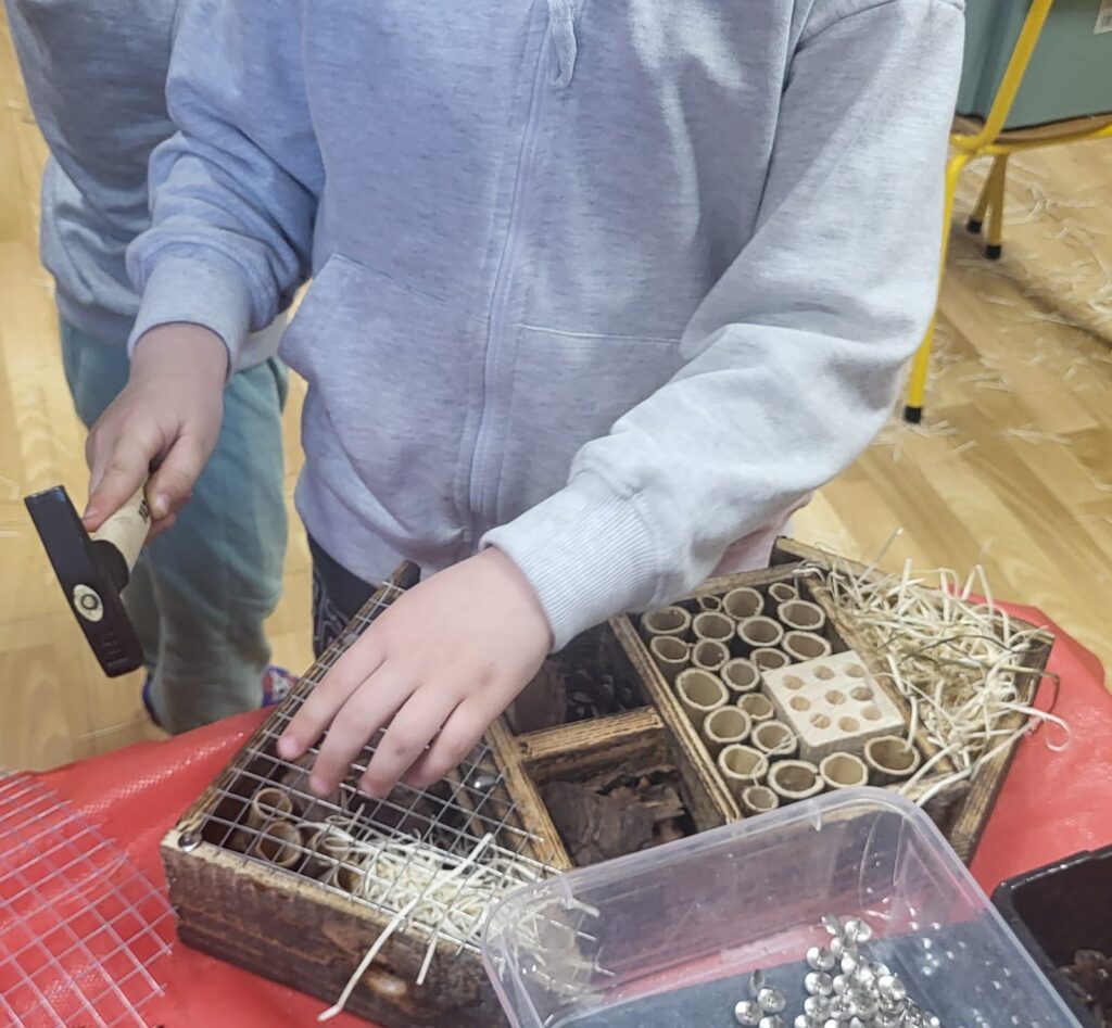 50%